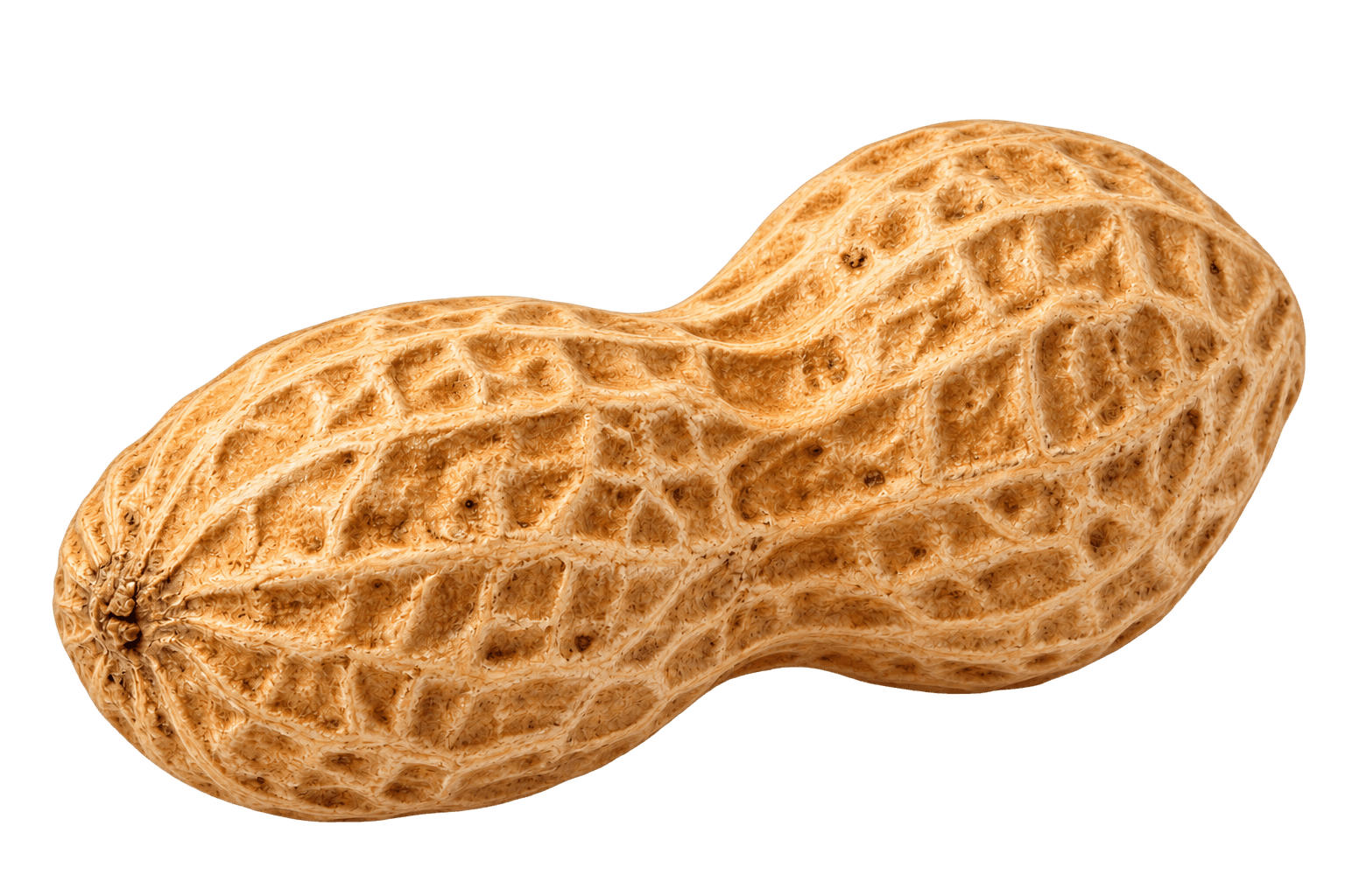 Decorticated Peanut Pod and Kernels