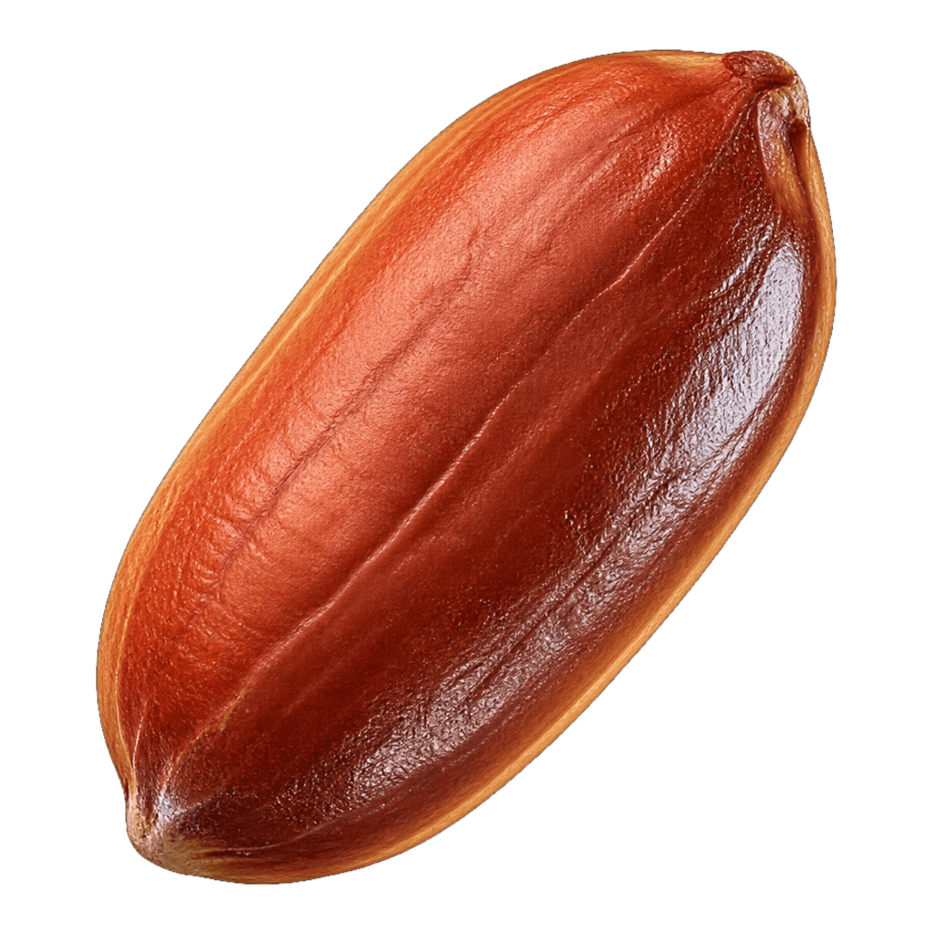 Resveratrol Antioxidant Shield