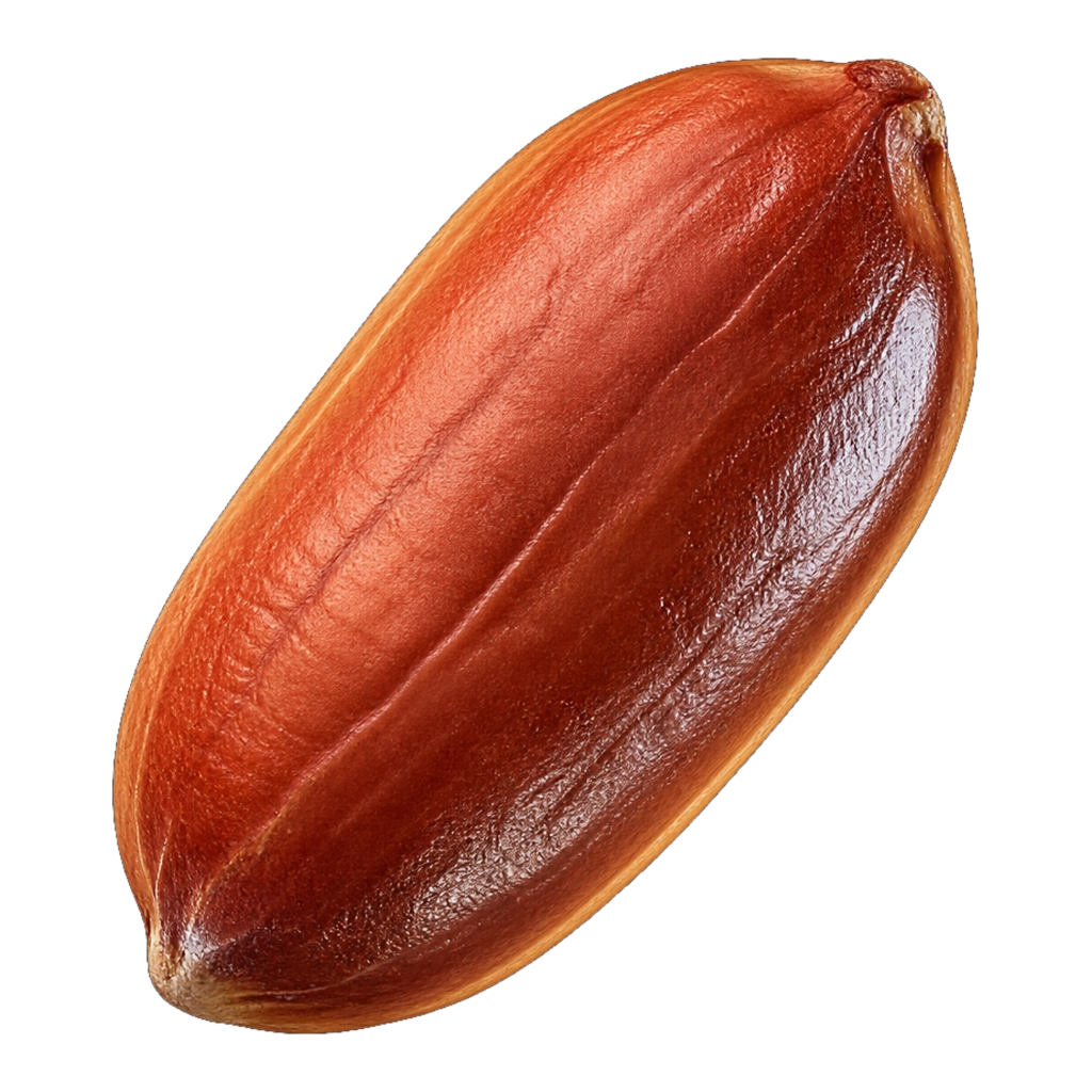 Floating Singdana Kernel