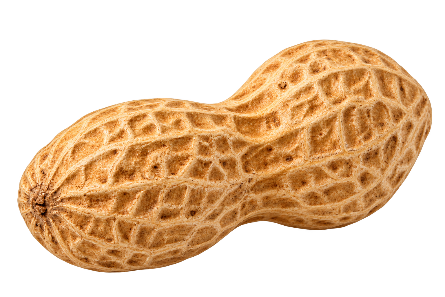 Floating Peanut Pod